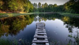 rustic wooden pier lake - foto freepik