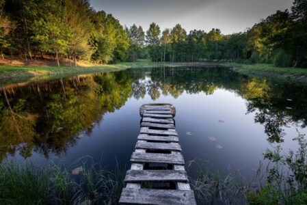 rustic wooden pier lake - foto freepik