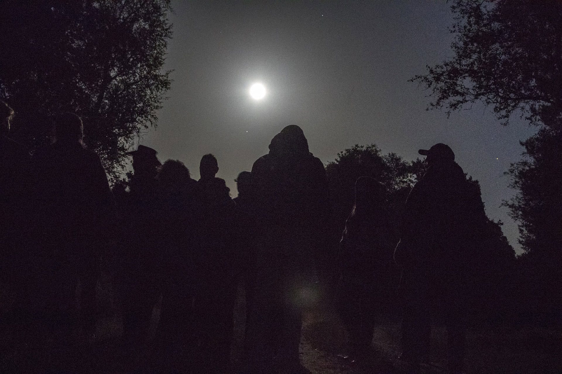 Vollemaanwandeling (foto Marco van de Burgwal)