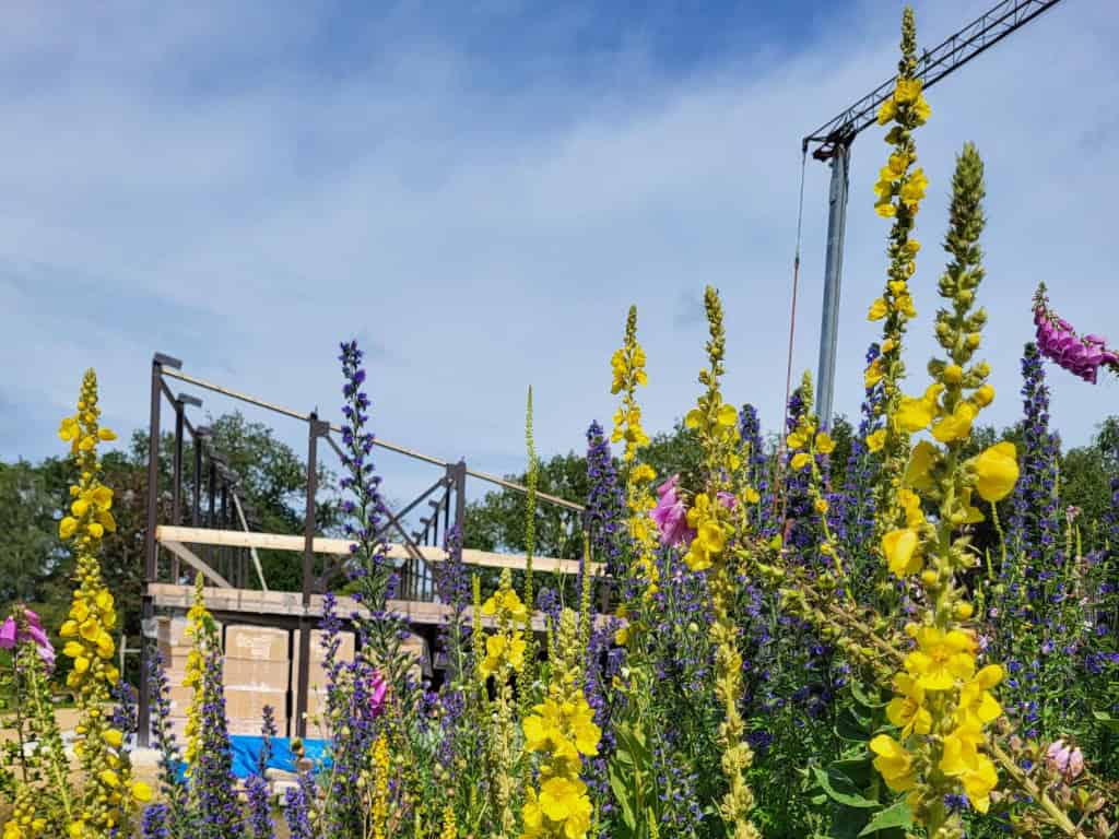Biobased pand in aanbouw (foto aangeleverd)