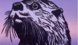 Harm Visserman; kleurenhoutsnede otter (foto aangeleverd)
