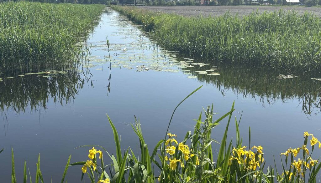 (foto aangeleverd)