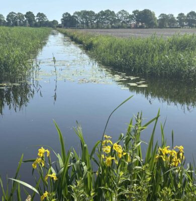 (foto aangeleverd)