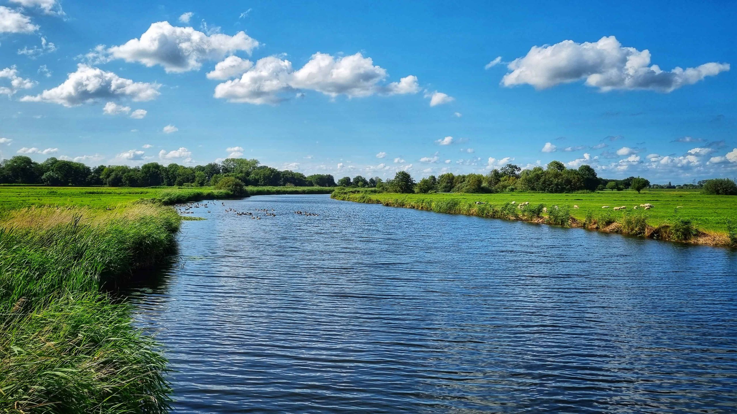 Ondanks droogte volle sloten - foto aangeleverd