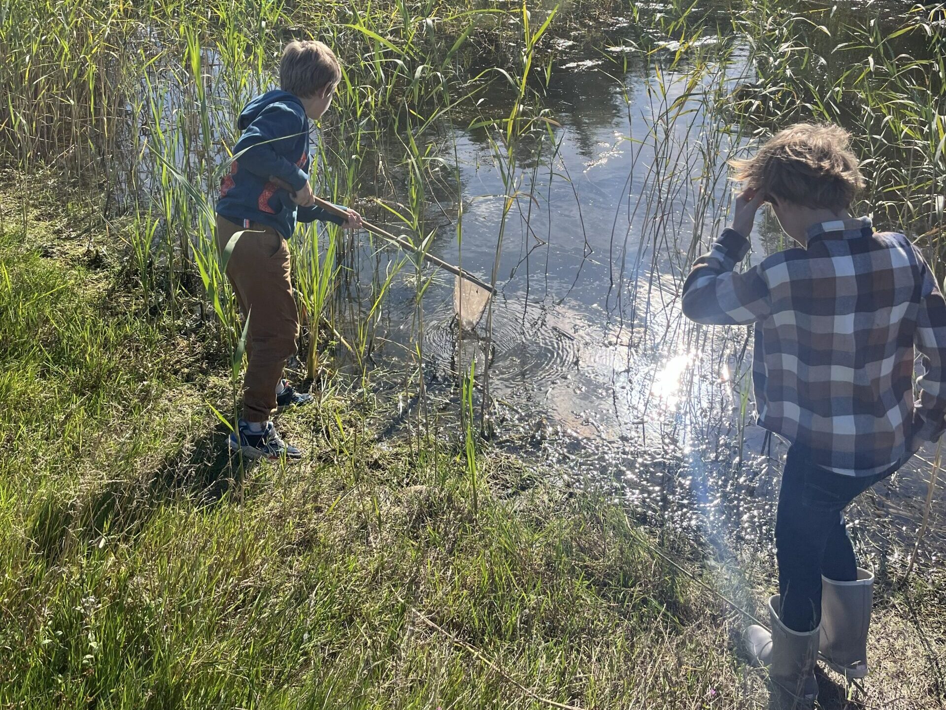 Op onderzoek een de rand van de sloot - foto NPWW