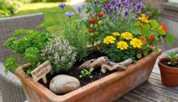 Plantenbak tuintje - foto aangeleverd