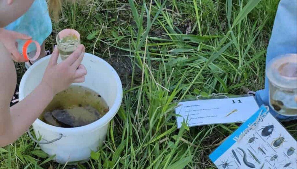 Waterbeestjes onderzoeken (foto IVN Natuureducatie)