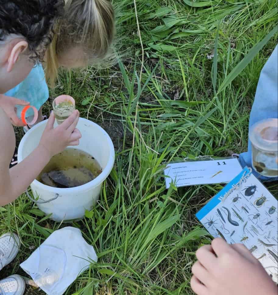 Waterbeestjes onderzoeken (foto IVN Natuureducatie)