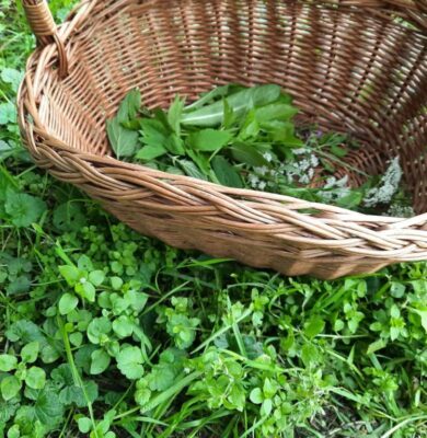 Wildplukwandeling (foto Leah Groeneweg)