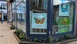 Steenwijk viert eerste groene winkelstraat. (foto aangeleverd)