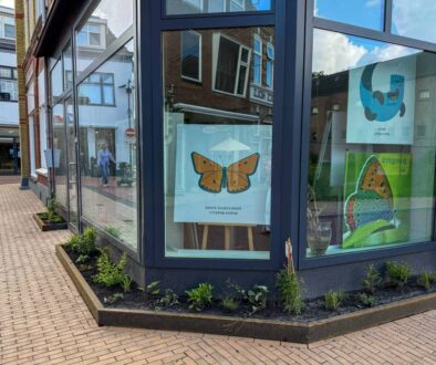 Steenwijk viert eerste groene winkelstraat. (foto aangeleverd)
