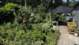 Levende Tuinenroute (foto Dirk Brans)