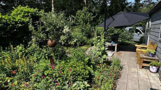 Levende Tuinenroute (foto Dirk Brans)