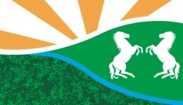 Vlag-Witte-Paarden-Baars-beeld_-Buurtvereniging