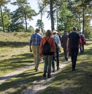Zomerwandeling DFW 28 juni 2026 (foto Ineke van Os)