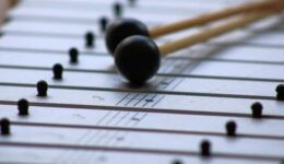 muziek (foto Pixabay)