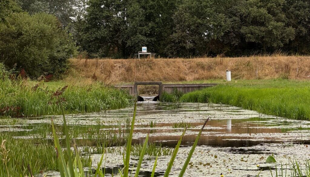 Update droogteblog (foto aangeleverd)
