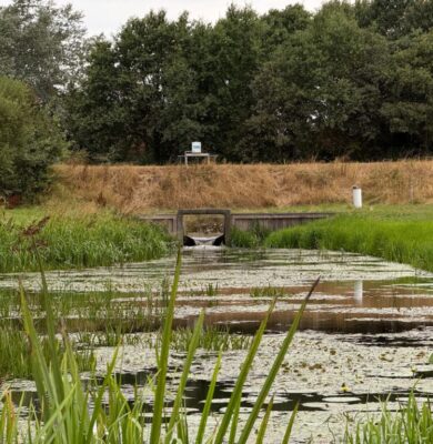 Update droogteblog (foto aangeleverd)