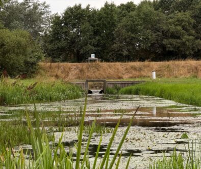 Update droogteblog (foto aangeleverd)