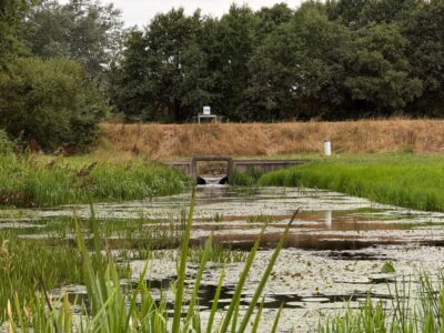Update droogteblog (foto aangeleverd)
