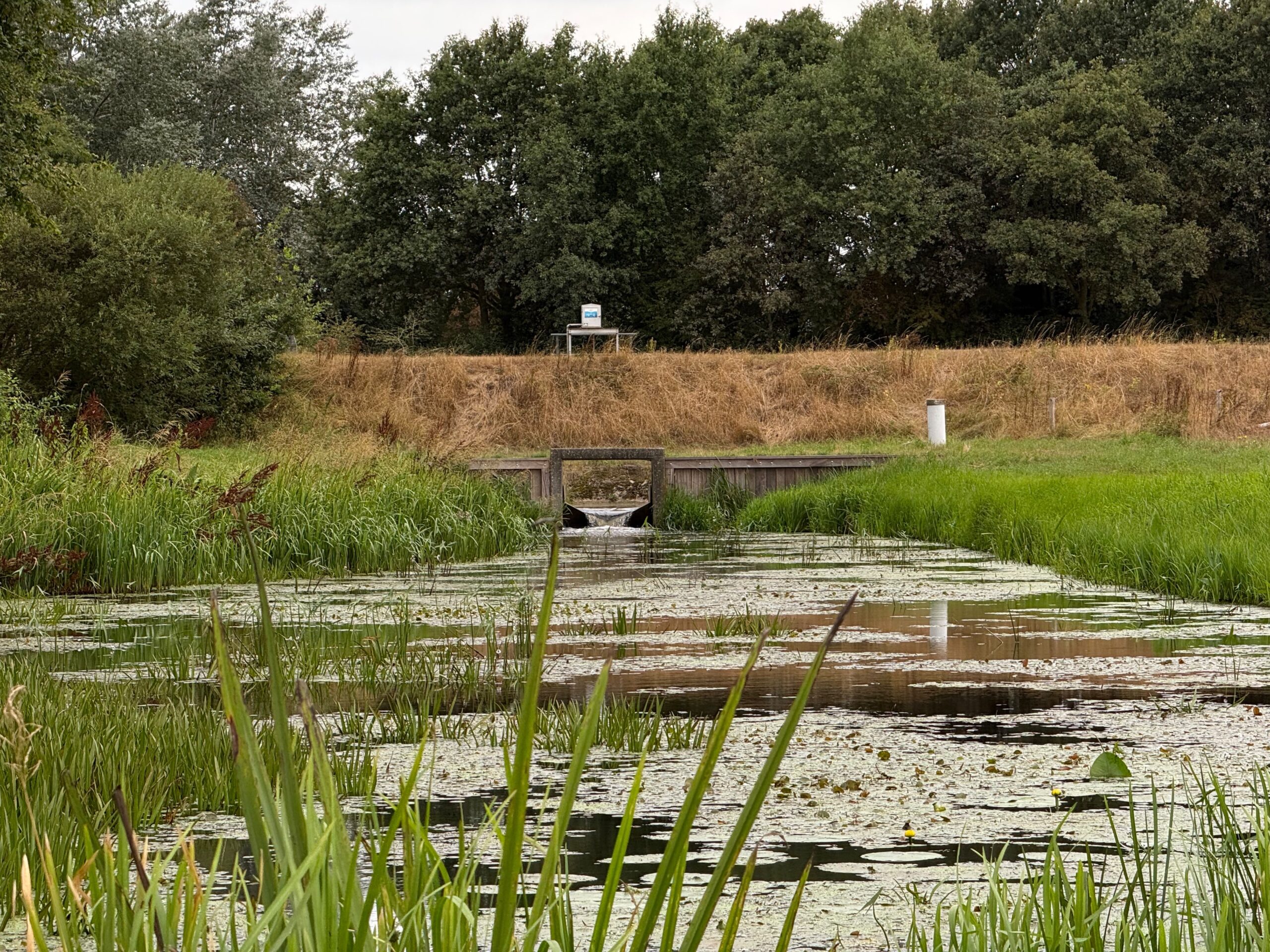 Update droogteblog (foto aangeleverd)