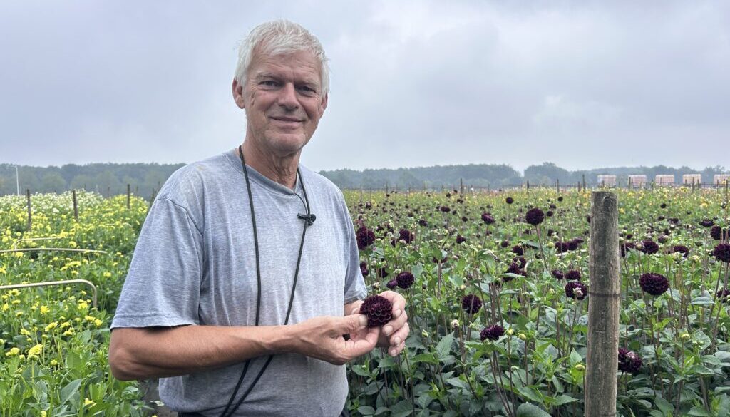 Jos Paulssen is dahliateler