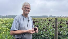 Jos Paulssen is dahliateler