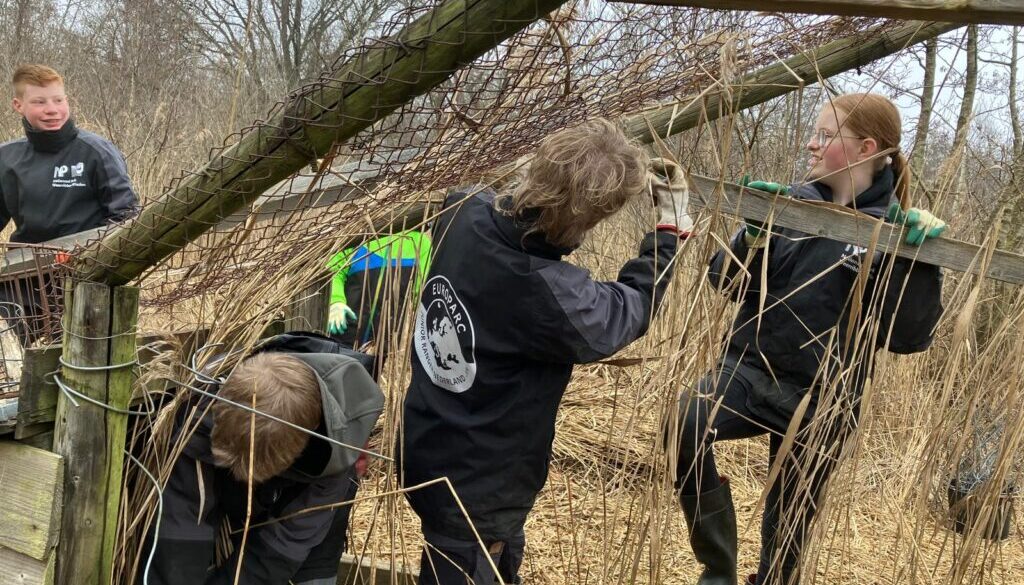 Junior Rangers aan het werk (foto aangeleverd)