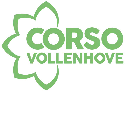 Logo Corso Vollenhove
