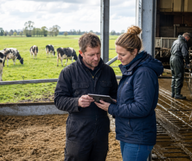 Overijssel test nieuwe aanpak om ammoniakuitstoot (foto AI gegenereerd)