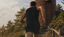 De route naar de 33 meter hoge Bosbergtoren (foto: Invictus).