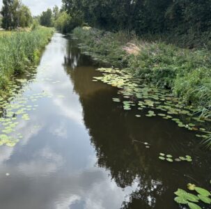 Water in de sloot (foto aangelleverd)