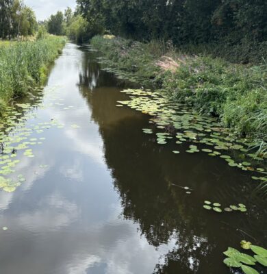 Water in de sloot (foto aangelleverd)