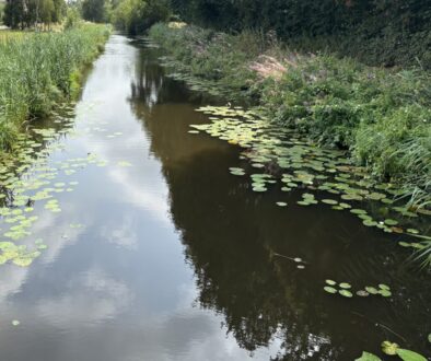 Water in de sloot (foto aangelleverd)