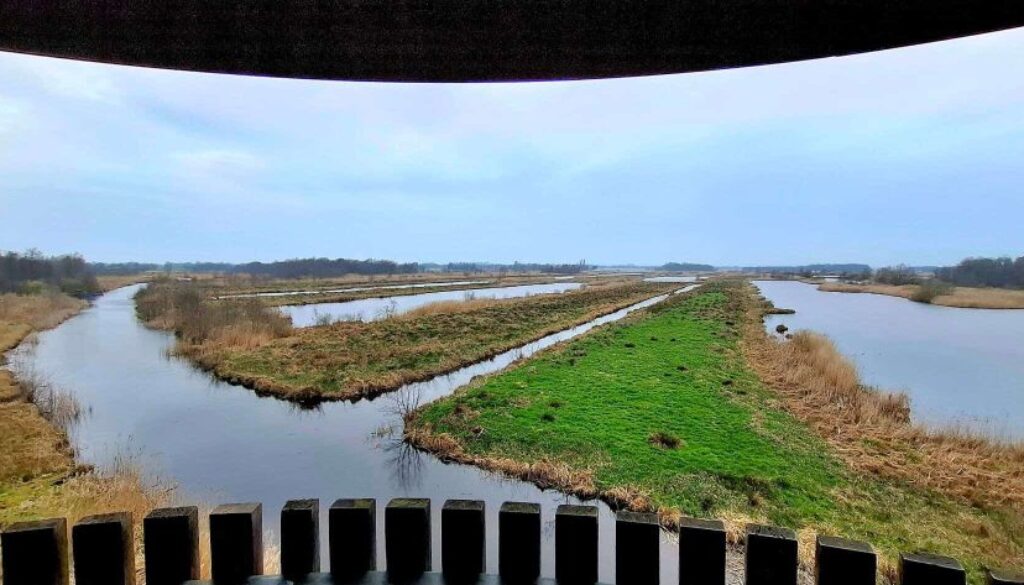 Weerribben-Wieden (foto Ingrid de Roode)