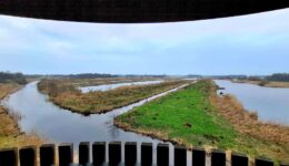 Weerribben-Wieden (foto Ingrid de Roode)