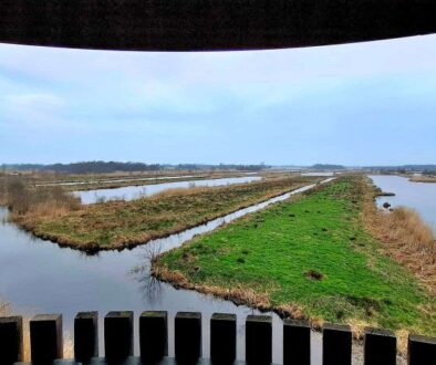 Weerribben-Wieden (foto Ingrid de Roode)