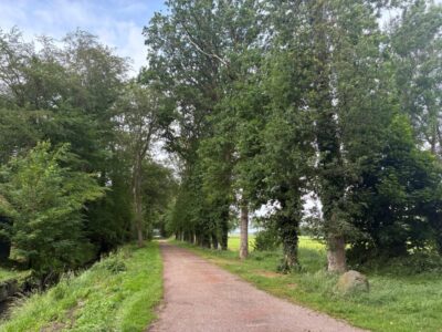 Landgoed Oldenhof herstelt karakteristieke bomenlaan (foto aangeleverd)