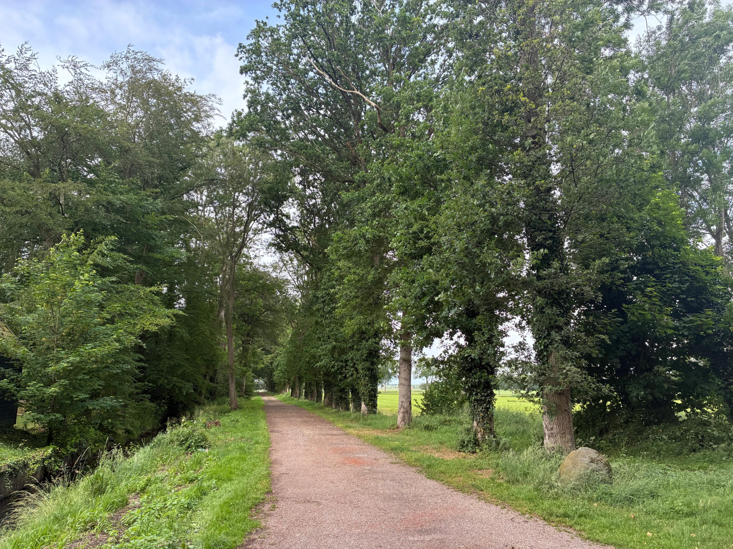 Landgoed Oldenhof herstelt karakteristieke bomenlaan (foto aangeleverd)
