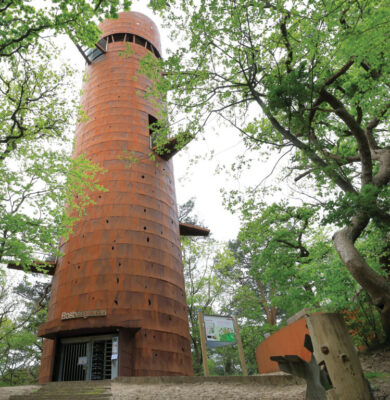 Appelscha-Bosbergtoren foto Wierenga Reclame