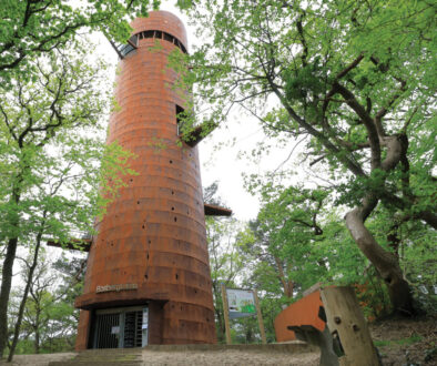 Appelscha-Bosbergtoren foto Wierenga Reclame