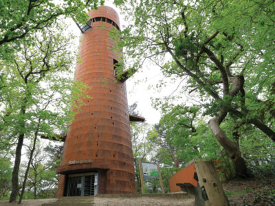 Appelscha-Bosbergtoren foto Wierenga Reclame