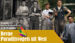 Paradijsvogels (foto aangeleverd)