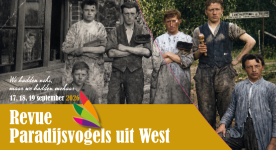 Paradijsvogels (foto aangeleverd)