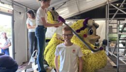 Jonge corsobouwers prikken gele dahlia’s op de juniorcorsowagen van Kolonie Junior in Frederiksoord.