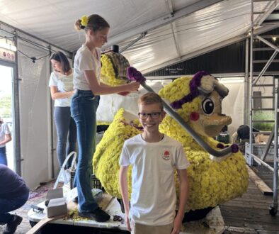 Jonge corsobouwers prikken gele dahlia’s op de juniorcorsowagen van Kolonie Junior in Frederiksoord.