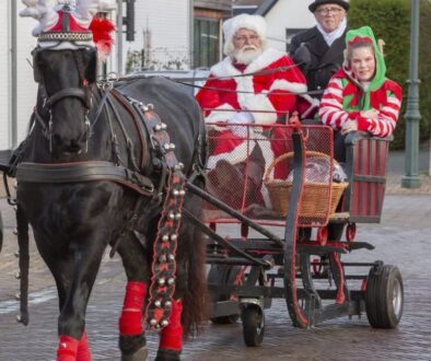 Kerstman met elfje in de arrenslee (foto organisatie kerstrondje)