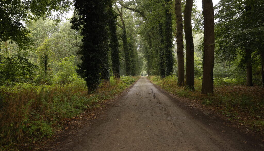 Lanen (foto aangeleverd)