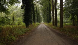 Lanen (foto aangeleverd)