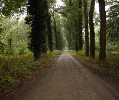 Lanen (foto aangeleverd)